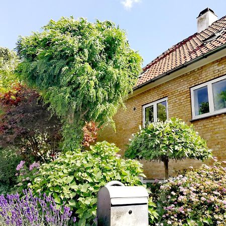 Room In A Danish Cottage With Garden View, 10 Min To Cph Gentofte Eksteriør billede
